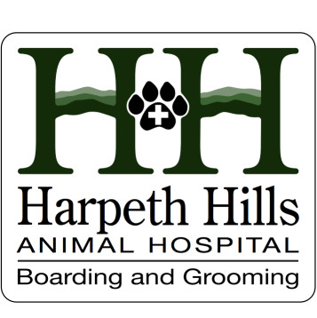 Image of Harpeth Hills Animal Hospital service in Nashville, Indiana, United States