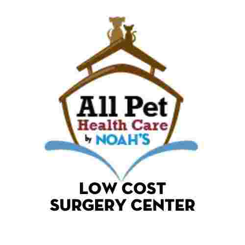 Image of All Pet Low Cost Surgery Center service in Indianapolis, Indiana, United States