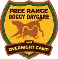 Image of Free Range Doggy Daycare and Over night Camp service in Glastonbury, Connecticut, United States Image of Free Range Doggy Daycare and Over night Camp service in Glastonbury, Connecticut, United States