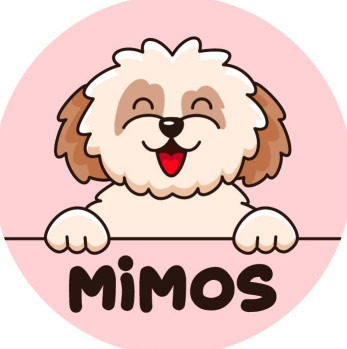 Image of Peluqueria Canina Mimos service in Quart de Poblet, Valencia, Spain