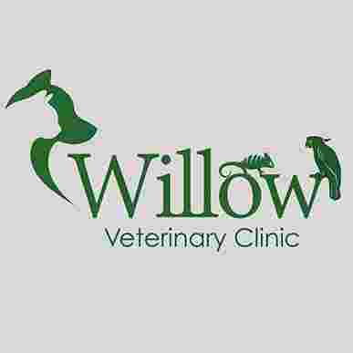 Image of Willow Veterinary Clinic -Tunstall service in Stoke-on-Trent, England, United Kingdom