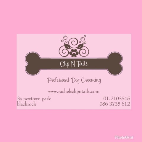 Image of rachels clip n tails, dog grooming service in Blackrock, Leinster, Ireland