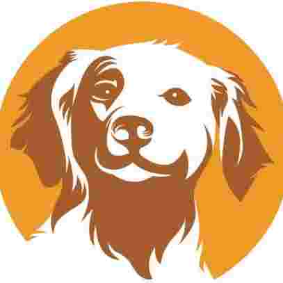 Image of Hundeseminar-Spessart service in Frankfurt am Main, Hessen, Germany