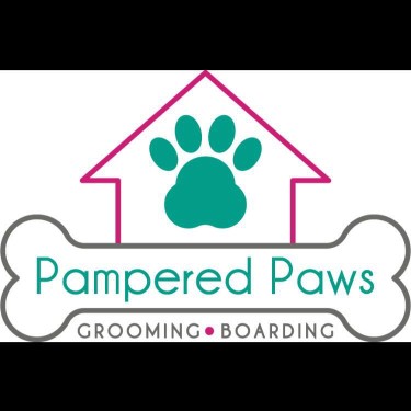 Image of Pampered Paws Inc service in Greensburg, Indiana, United States