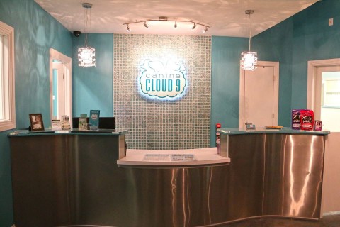 Image of Canine Cloud 9 service in Virginia Beach, Virginia, United States
