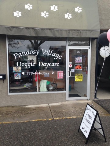 Image of Pandosy Village Doggie Daycare service in Kelowna, British Columbia, Canada