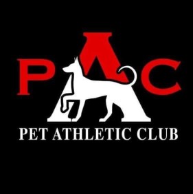 Image of Pet Athletic Club service in Cincinnati, Ohio, United States Image of Pet Athletic Club service in Cincinnati, Ohio, United States
