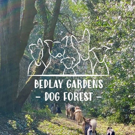 Image of Bedlay Gardens Dog Forest service in Chryston, Scotland, United Kingdom Image of Bedlay Gardens Dog Forest service in Chryston, Scotland, United Kingdom