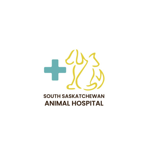 Image of South Saskatchewan Animal Hospital service in Regina, Saskatchewan, Canada