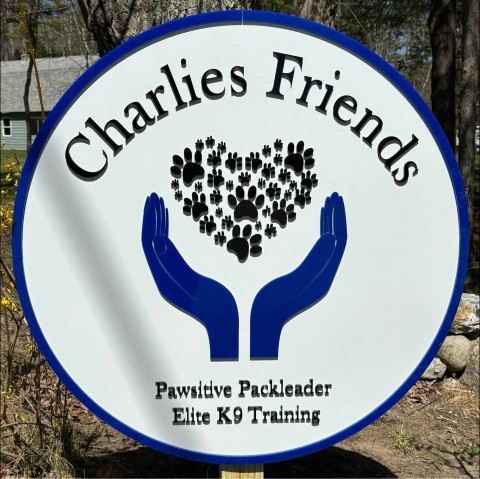 Image of Charlies Friends Doggy Daycare service in Cumberland, Maryland, United States Image of Charlies Friends Doggy Daycare service in Cumberland, Maryland, United States