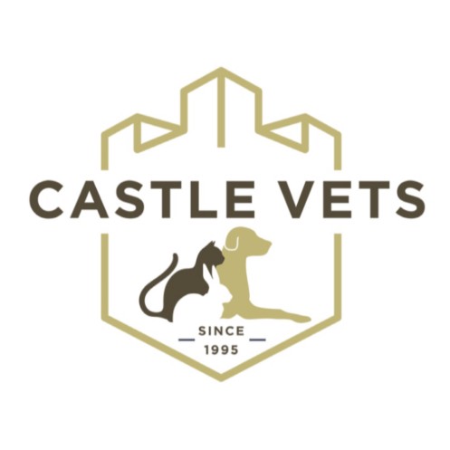 Image of Castle Veterinary Clinic service in Dublin, Dublin, Ireland