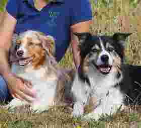 Image of Hundeschule OHZ service in Lilienthal, Niedersachsen, Germany