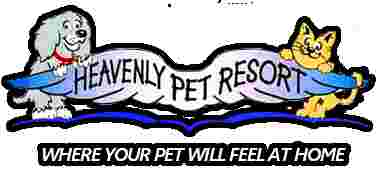 Image of Heavenly Pet Resort - Upland service in Upland, California, United States