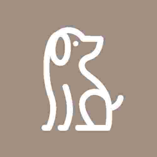 Image of MyPack Dog Training & Boarding service in West Jordan, Utah, United States