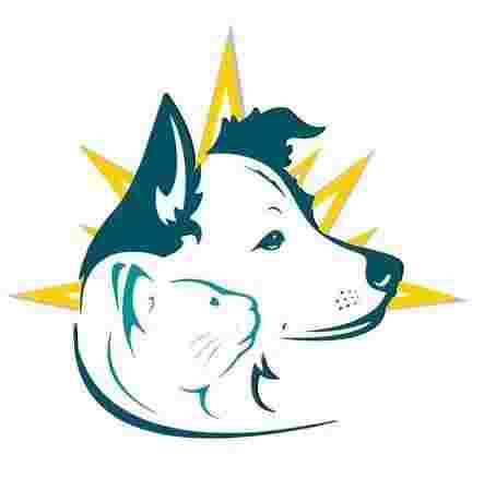 Image of North Star 410 Animal Hospital service in San Antonio, Texas, United States