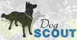 Image of Dog Scout Hundeschule service in Haltern am See, North Rhine-Westphalia, Germany