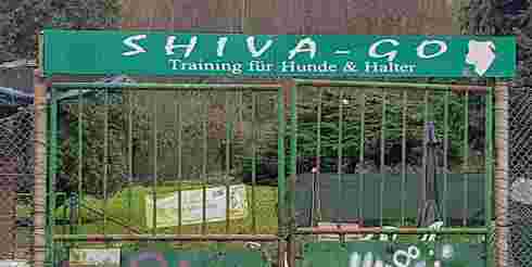 Image of Shiva-Go Training für Hund & Halter service in Duisburg, Nordrhein-Westfalen, Germany