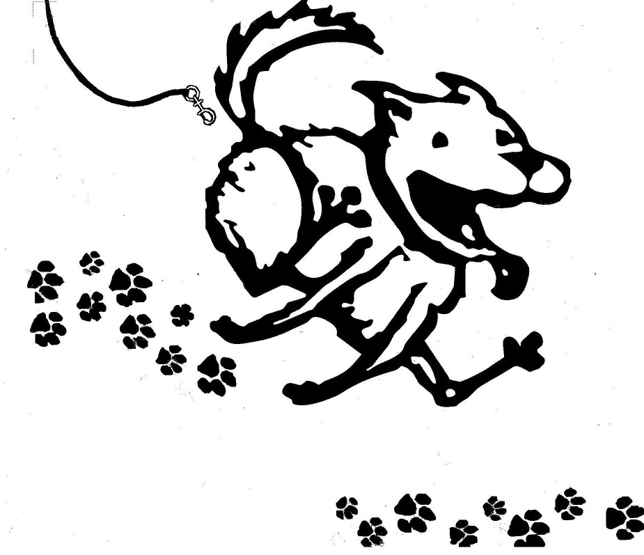 Image of Unleashed Grooming, Boarding & Dog Daycare service in Burleigh County, North Dakota, United States Image of Unleashed Grooming, Boarding & Dog Daycare service in Burleigh County, North Dakota, United States