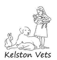Image of Kelston Vets service in Kelston, England, United Kingdom