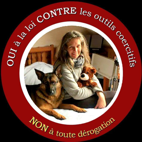 Image of Education Canine Passion service in Saint-Herblain, Loire-Atlantique, France
