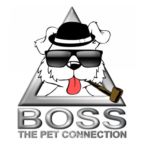 Image of Boss the Pet Connection service in Coral Springs, Florida, United States