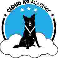 Image of Cloud K9 Academy Dog Training service in Naperville, Illinois, United States