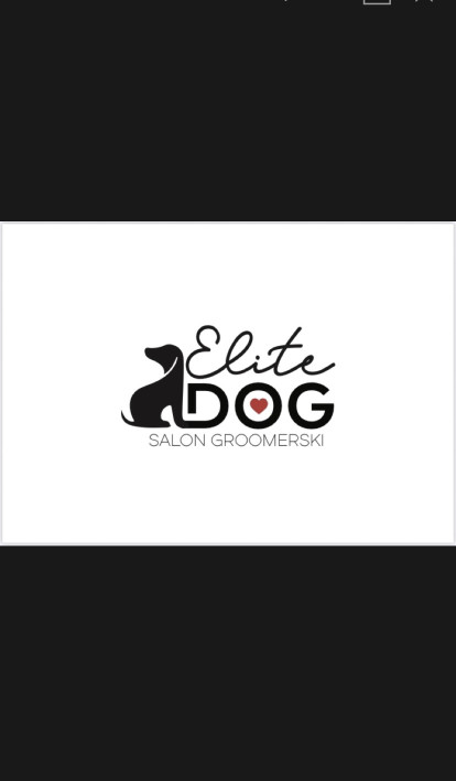 Image of PSI FRYZJER POZNAŃ ELITE DOG service in Poznan, Wielkopolskie, Poland