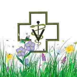 Image of Wascana Animal Hospital service in Regina, Saskatchewan, Canada