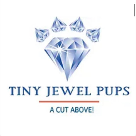 Image of Tiny Jewel Pups service in Houston, Minnesota, United States
