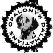 Image of Opal-Onyx Dalmatians service in Morriston, Florida, United States