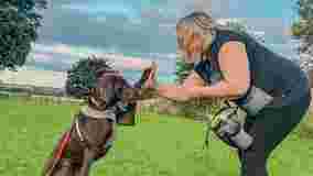 Image of The Puppy Master service in Featherstone, England, United Kingdom