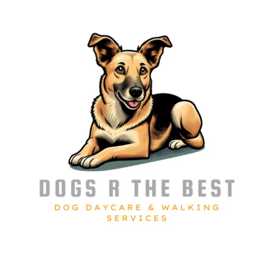 Image of Dogs R The Best service in Vaughan, Ontario, Canada Image of Dogs R The Best service in Vaughan, Ontario, Canada