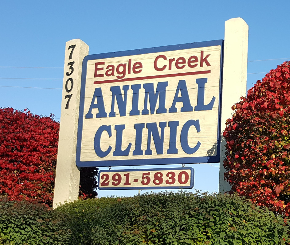Image of Eagle Creek Animal Clinic service in Indianapolis, Indiana, United States