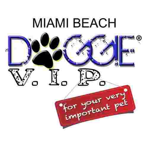 Image of DOGGIE VIP MIAMI BEACH service in Miami Beach, Florida, United States Image of DOGGIE VIP MIAMI BEACH service in Miami Beach, Florida, United States