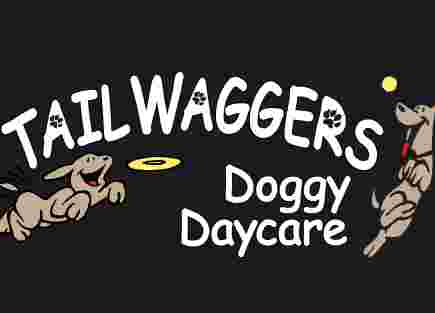 Image of TailWaggers Doggy Daycare service in Union, Utah, United States Image of TailWaggers Doggy Daycare service in Union, Utah, United States