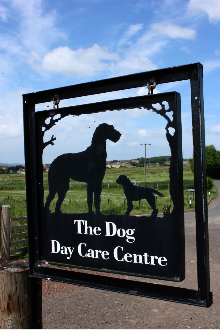 Image of The Dog Day Care Centre service in Gorebridge, Scotland, United Kingdom