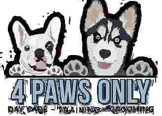Image of 4 Paws Only service in New York, New York, United States Image of 4 Paws Only service in New York, New York, United States