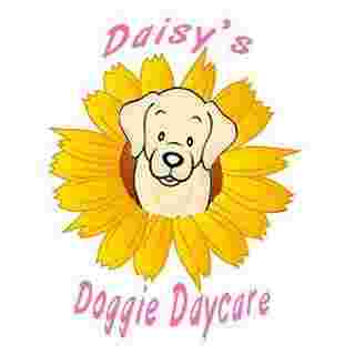 Image of Daisy's Doggie Daycare - Greensburg service in Greensburg, Indiana, United States
