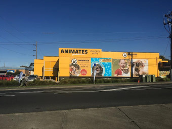 Image of Animates Glenfield service in Auckland, Auckland, New Zealand