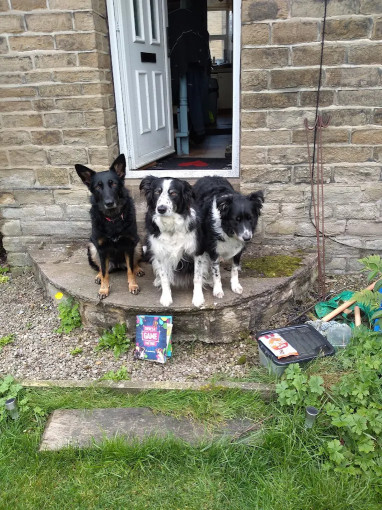 Image of Wragby Grange Dog Day Care | Dog Training | Boarding | Walking Services service in Wragby, England, United Kingdom
