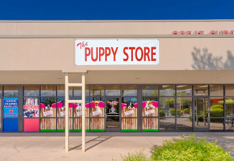 Image of The Puppy Store Salt Lake City service in West Jordan, Utah, United States