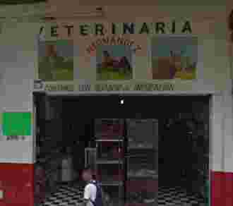 Image of Veterinaria Hernandez service in Puerto Vallarta, Jalisco, Mexico Image of Veterinaria Hernandez service in Puerto Vallarta, Jalisco, Mexico