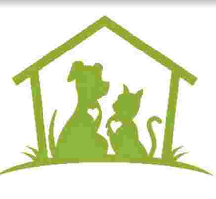 Image of Clínica Veterinaria Reino Animal service in Madrid, Madrid, Spain