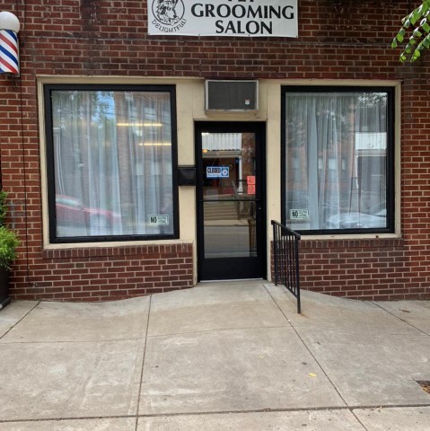 Image of Doggone Delightful service in Pittsburgh, Pennsylvania, United States