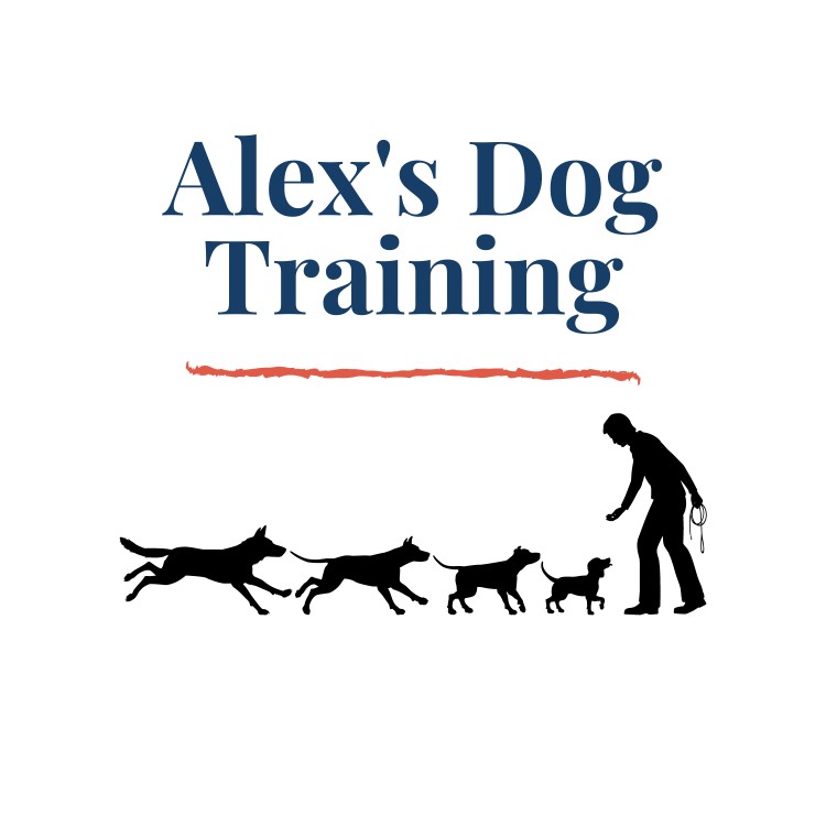 Image of Alex's Dog Training service in Pittsfield, Massachusetts, United States Image of Alex's Dog Training service in Pittsfield, Massachusetts, United States