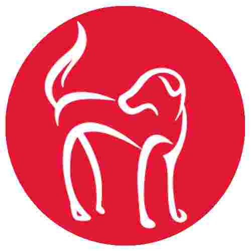 Image of Red Dog Pet Resort & Spa - Springdale service in Springdale, Arkansas, United States Image of Red Dog Pet Resort & Spa - Springdale service in Springdale, Arkansas, United States