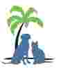 Image of College Animal Hospital service in San Diego, California, United States