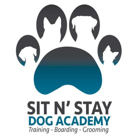 Image of Inghram's Sit N Stay Dog Academy service in Tampa, Florida, United States