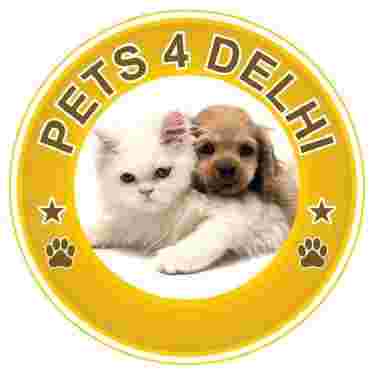 Image of Pets 4 Delhi service in New Delhi, Delhi, India