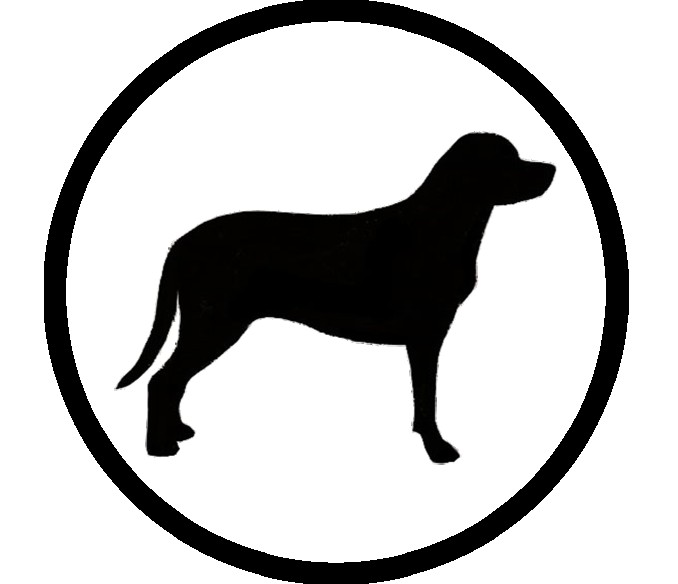 Image of Fur Paws LLC service in Houston, Minnesota, United States Image of Fur Paws LLC service in Houston, Minnesota, United States